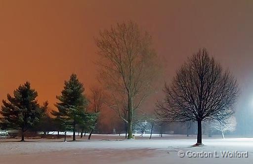 Snowfall In The Park_04425-7.jpg - Photographed along the Rideau Canal Waterway at Smiths Falls, Ontario, Canada.
